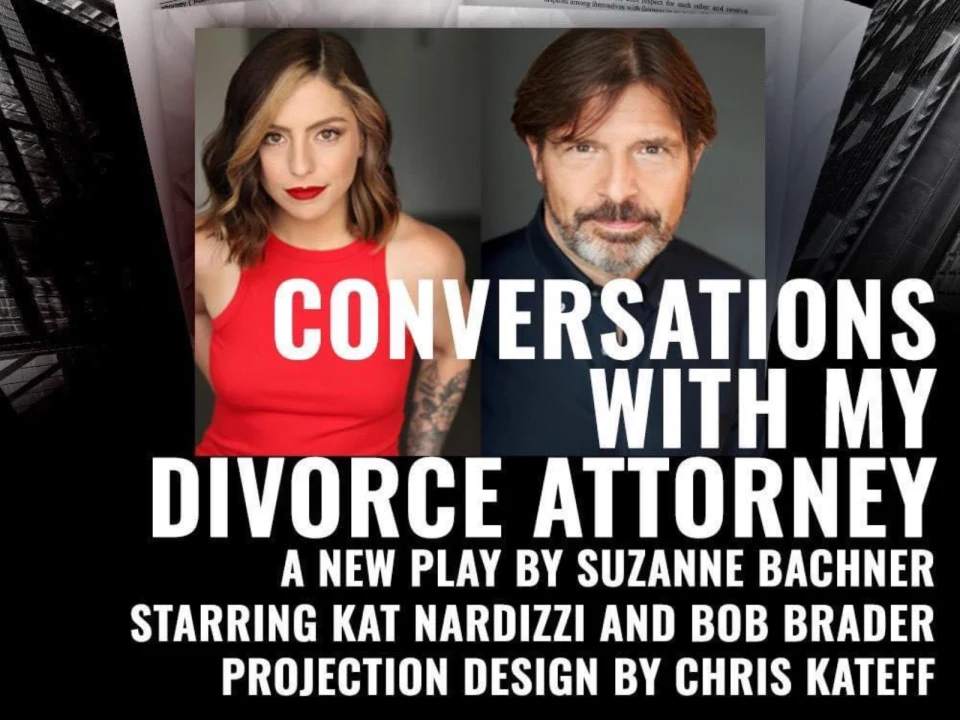 Poster of Conversations with My Divorce Attorney in New York City.