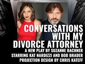 Poster of Conversations with My Divorce Attorney in New York City.
