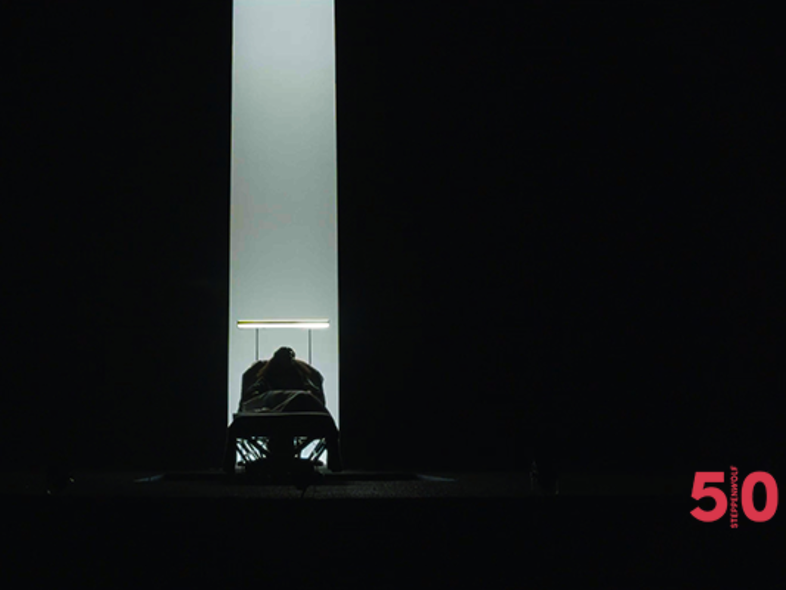 Mr. Wolf: What to expect - 1