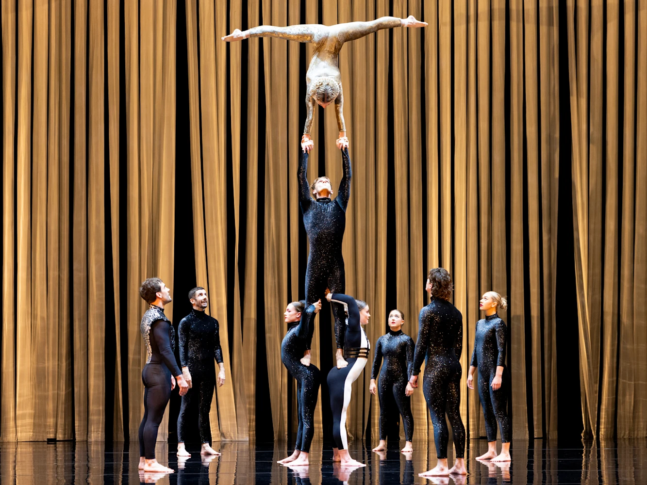 Duck Pond: What to expect - 3