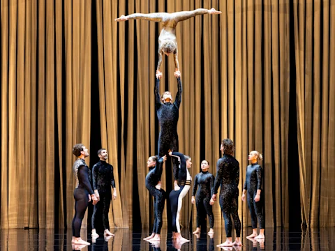 Duck Pond: What to expect - 3