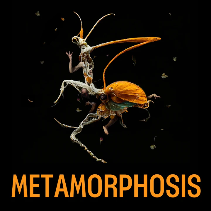 Metamorphosis: What to expect - 1