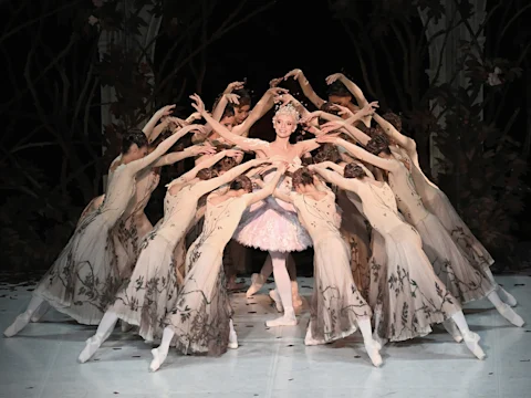 The Sleeping Beauty: What to expect - 3