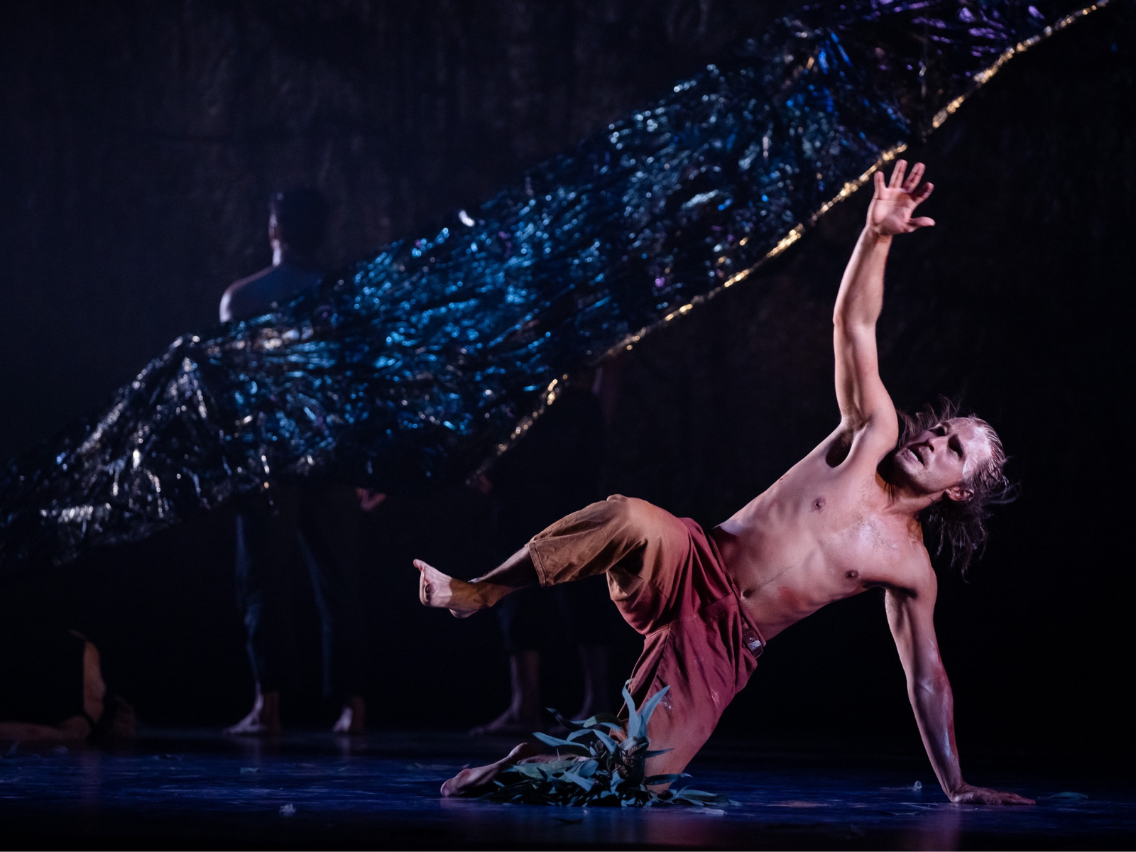 SandSong : What to expect - 5