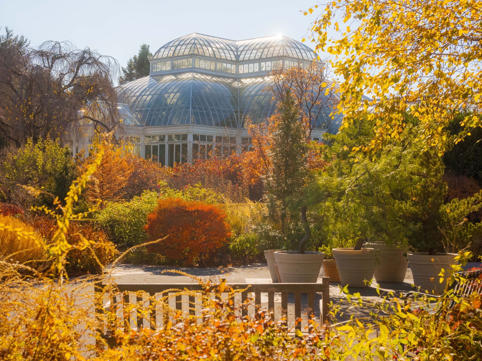 Autumn on Tap: What to expect - 5