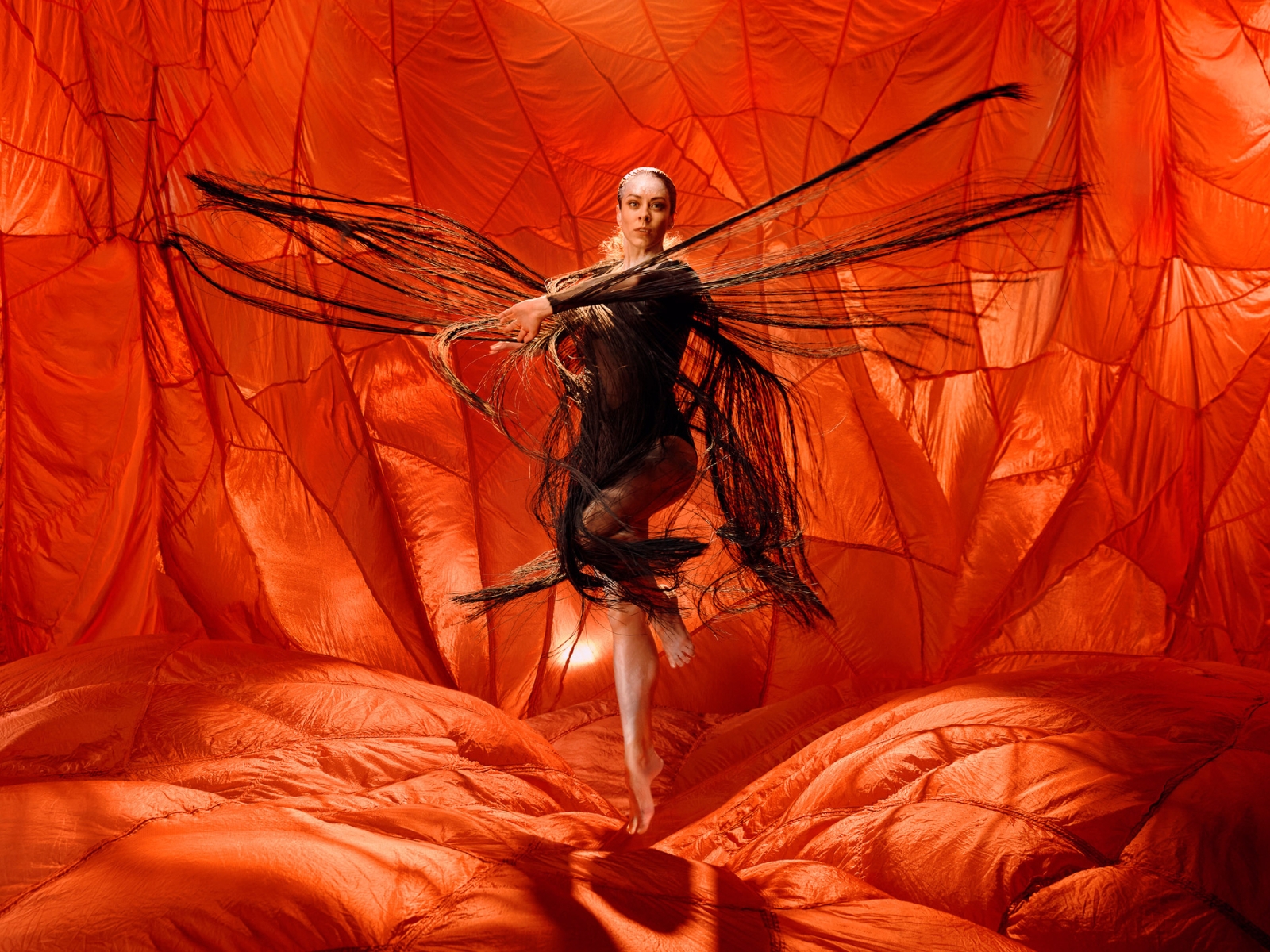 Illume: What to expect - 2