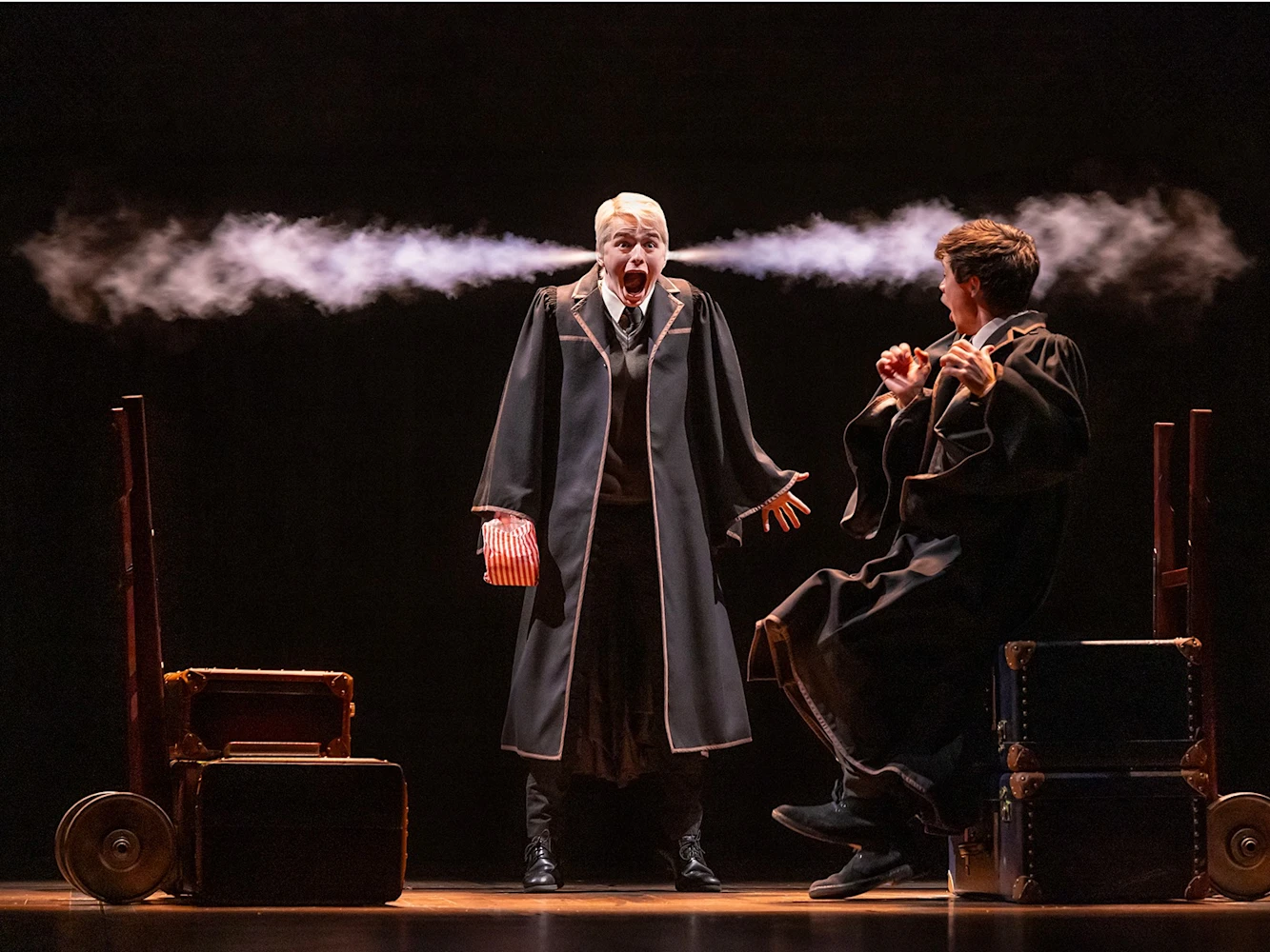 Harry Potter and the Cursed Child: What to expect - 5