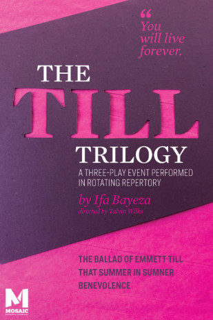 The Till Trilogy: Part I - The Ballad of Emmitt Till