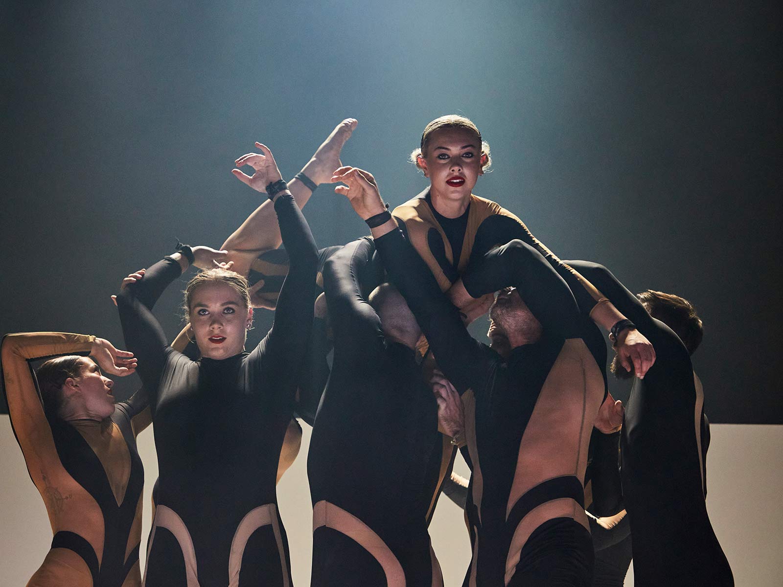 Wolf: What to expect - 3