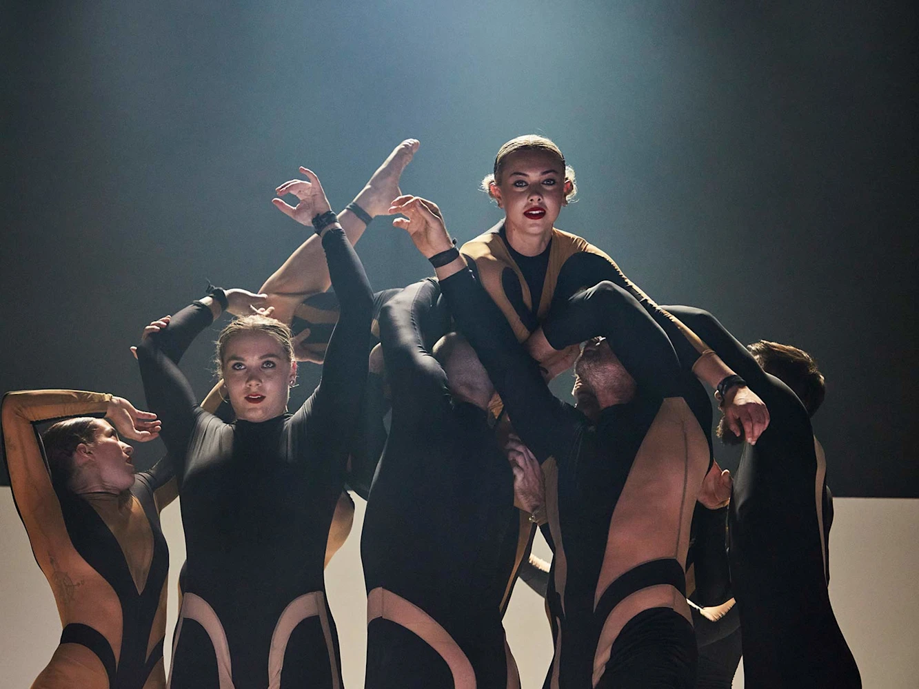 Wolf: What to expect - 3