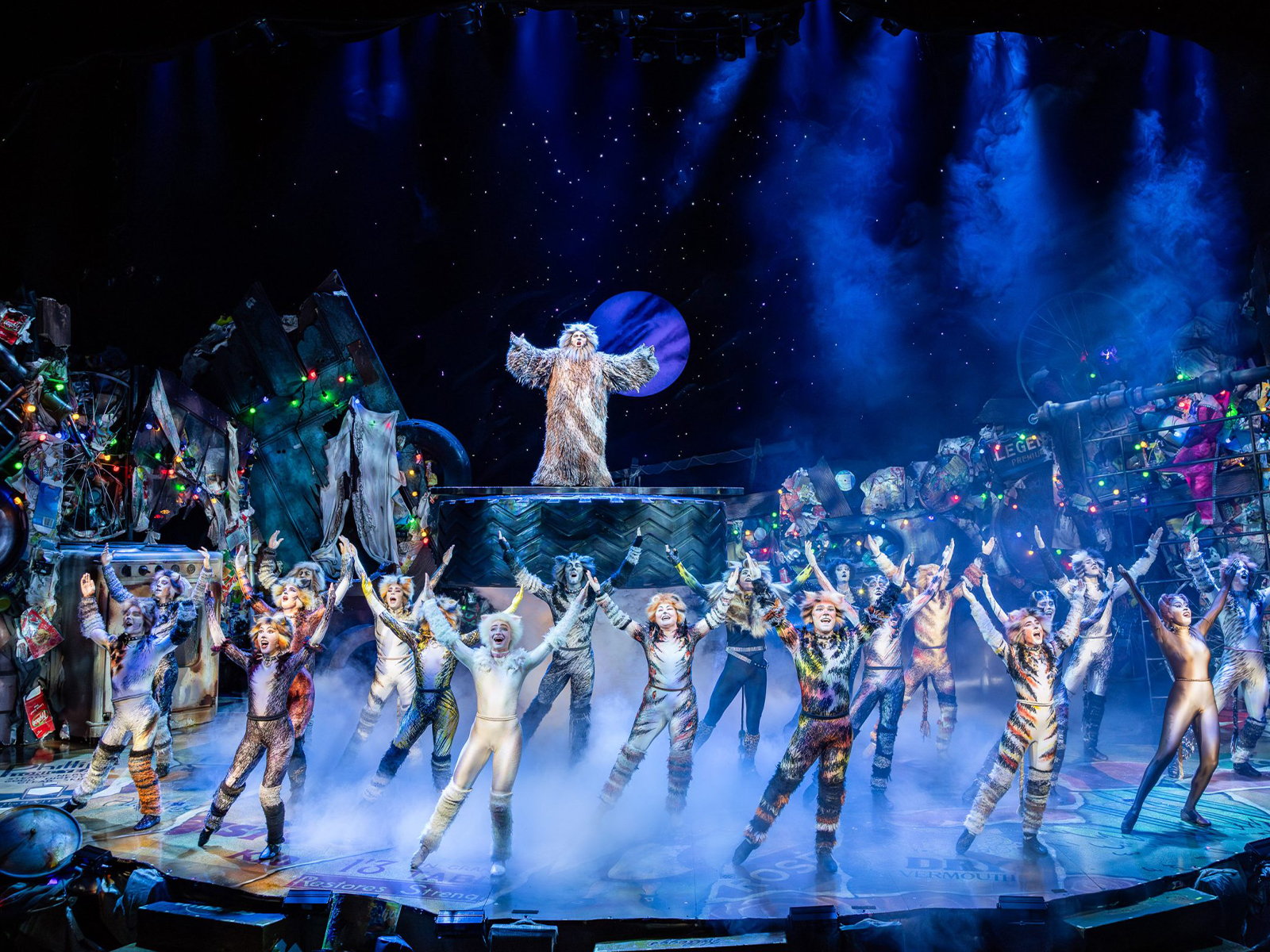 CATS: What to expect - 2