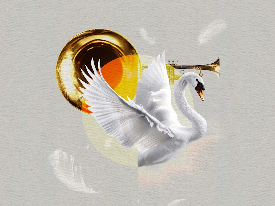 The Trumpet of the Swan: What to expect - 1