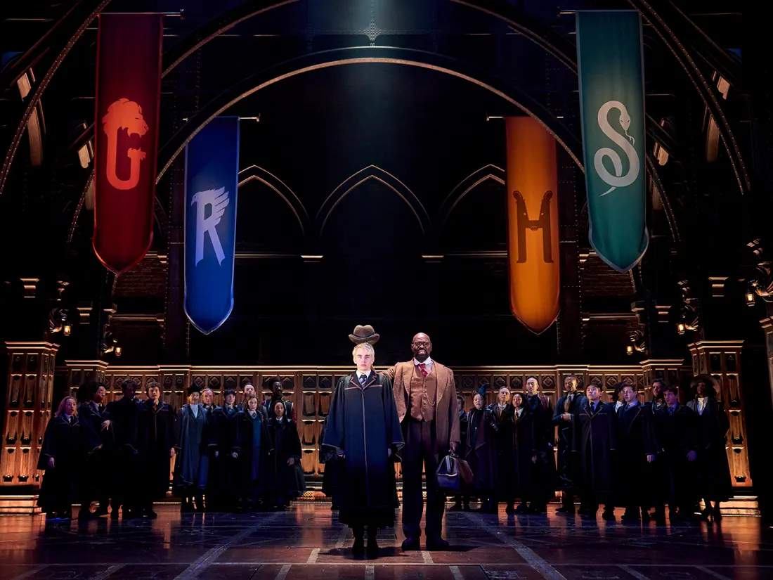 Harry Potter And The Cursed Child: Both Parts