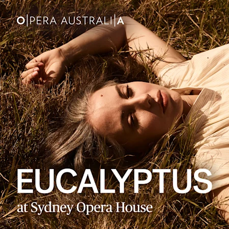 Eucalyptus