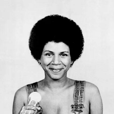 Perfect Angel: The Definitive Minnie Riperton Tribute