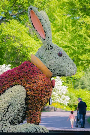 Wonderland: Curious Nature Tickets