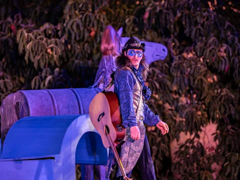Twelfth Night: What to expect - 3