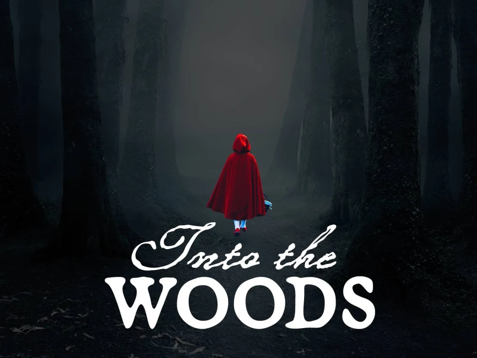 Into The Woods: What to expect - 1