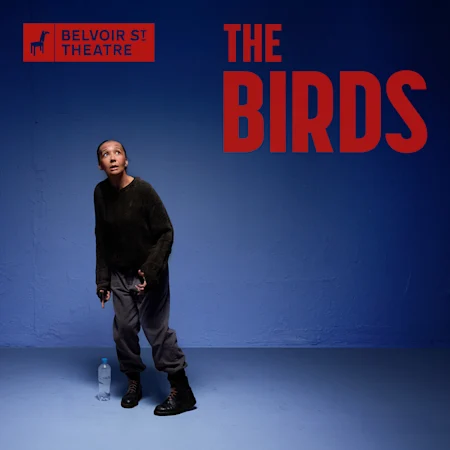 The Birds