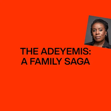 The Adeymis - A Family Saga