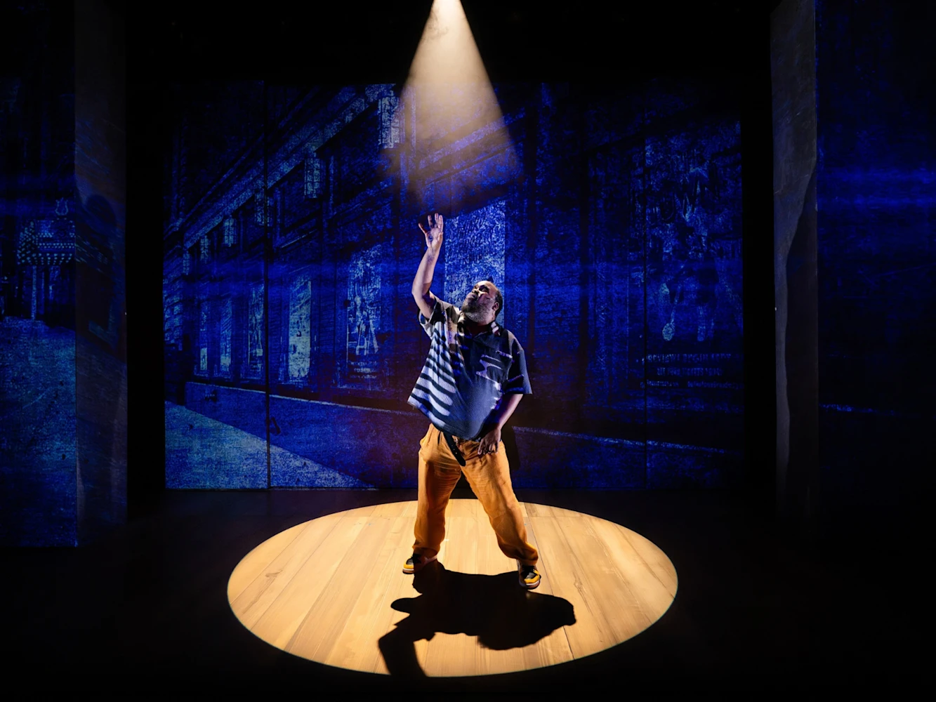 How Shakespeare Saved My Life - Joseph Papp Free First Performance Accessible Lottery: What to expect - 11