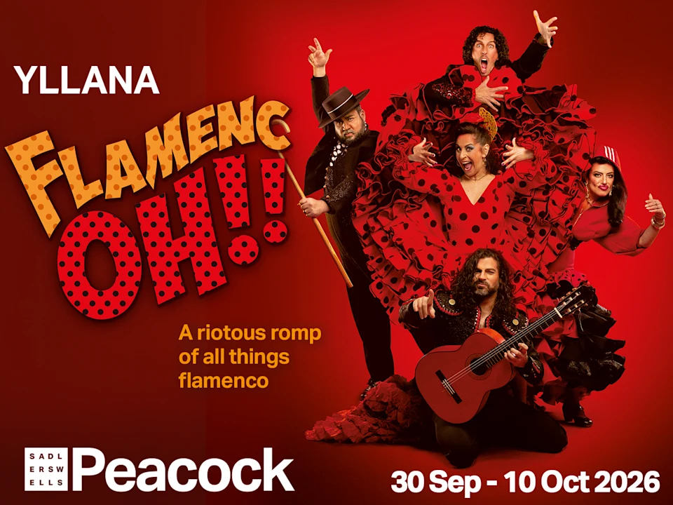 Flamenc Oh!!: What to expect - 1