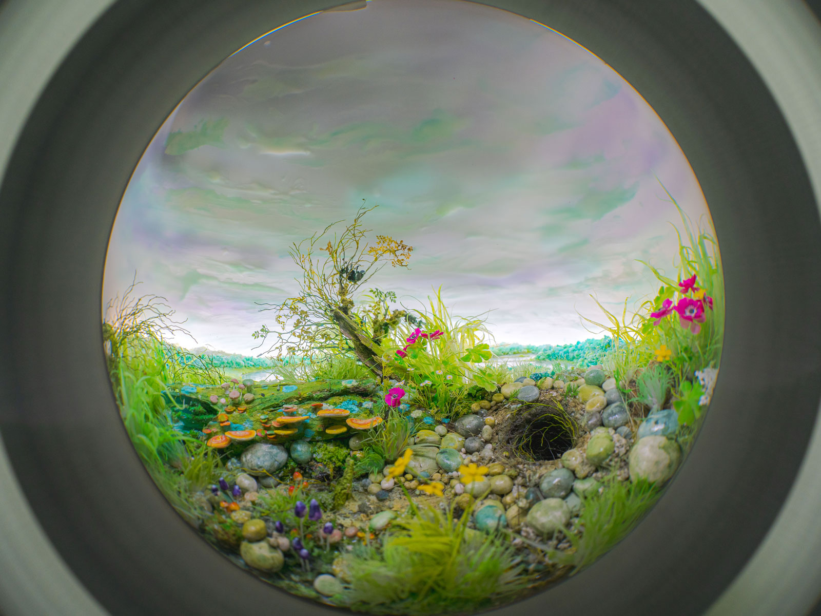 Wonderland: Curious Nature: What to expect - 4