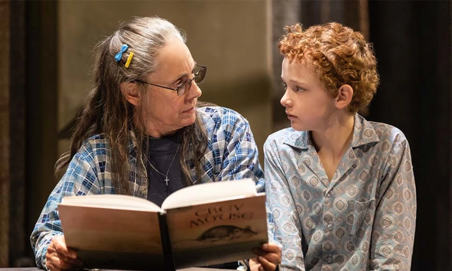 Grey House on Broadway starring Laurie Metcalf