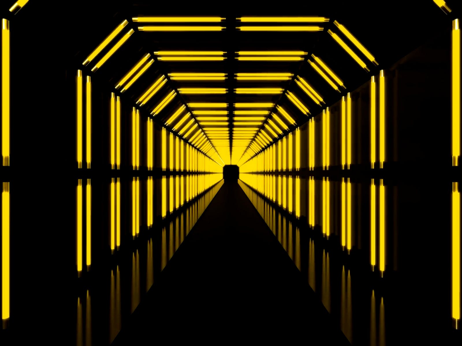 X: The Experience: What to expect - 2