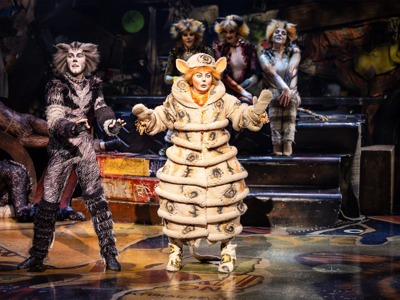 CATS: What to expect - 5
