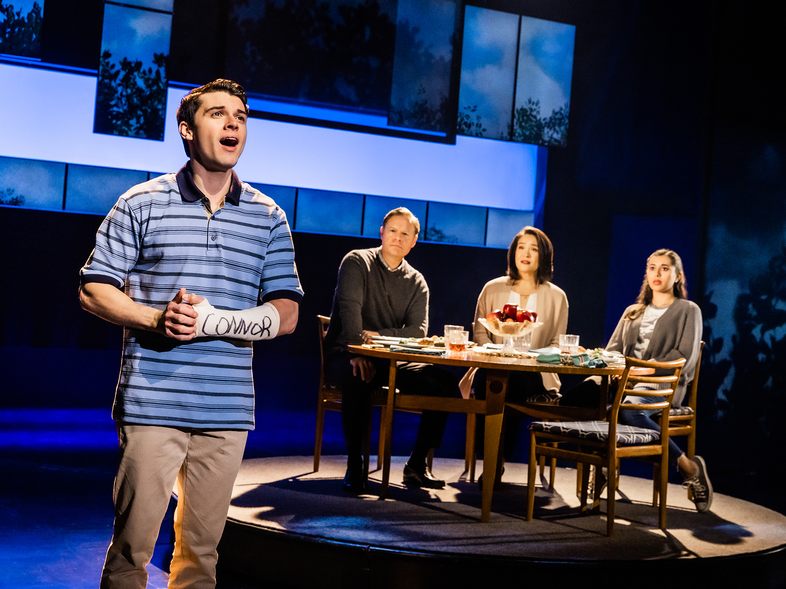 Dear Evan Hansen: What to expect - 5