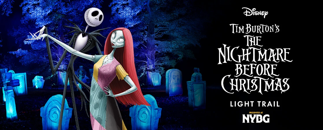 Disney Tim Burton's The Nightmare Before Christmas Light Trail
