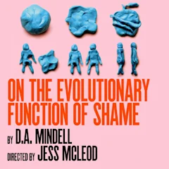 On the Evolutionary Function of Shame