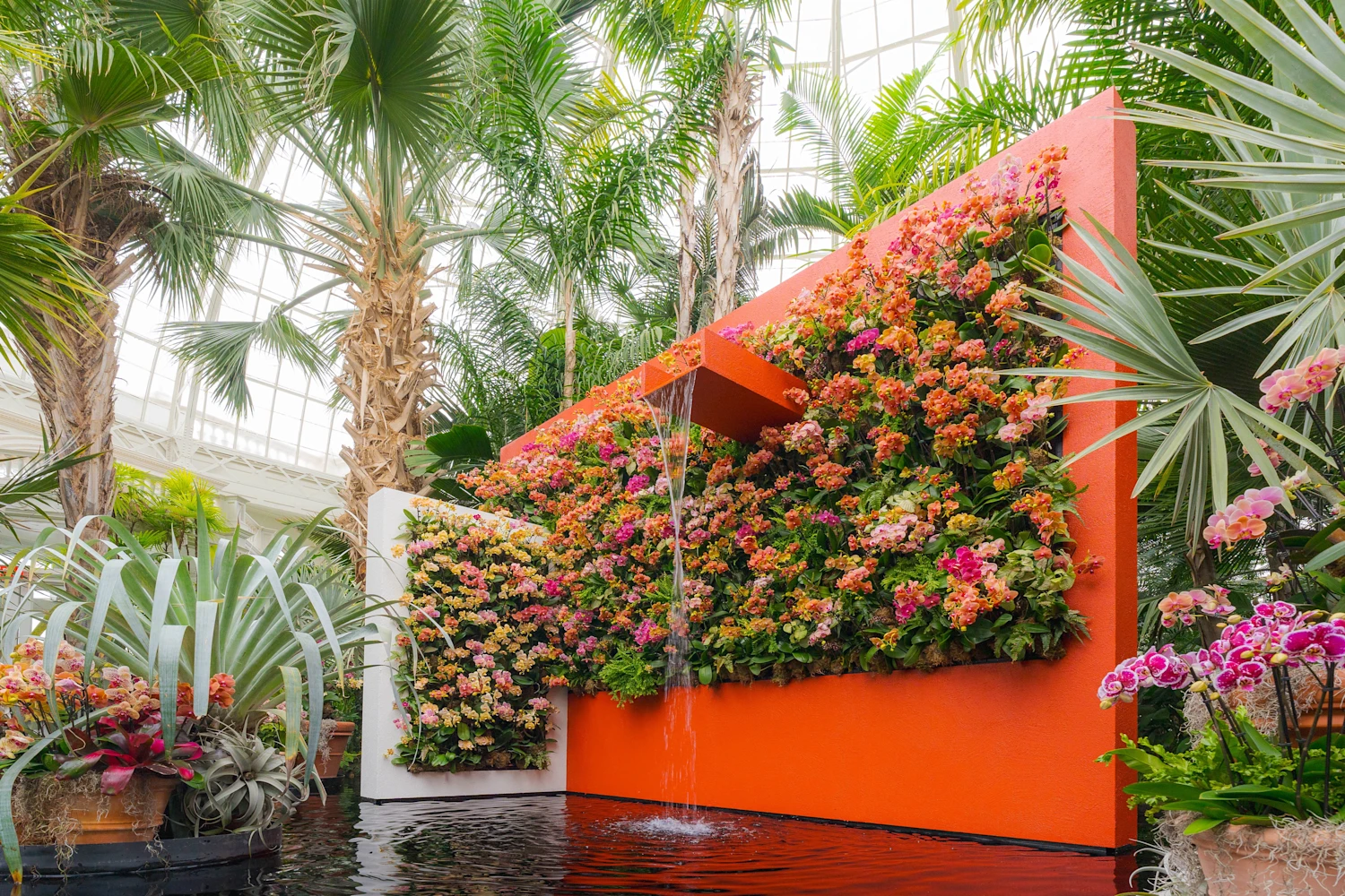 The Orchid Show: Mexican Modernism: What to expect - 6