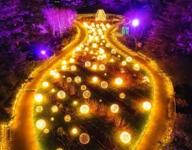 NYBG GLOW: An Outdoor Color & Light Experience: What to expect - 1