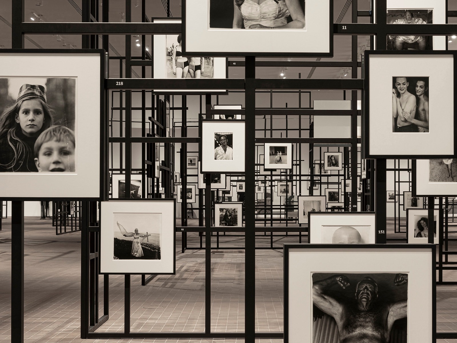 Diane Arbus: Constellation tickets | New York | TodayTix