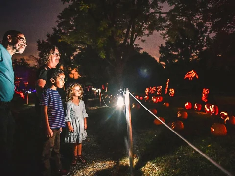 Magic of the Jack O’Lanterns: What to expect - 2