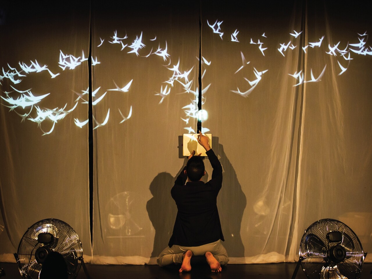 Little Murmur: What to expect - 4