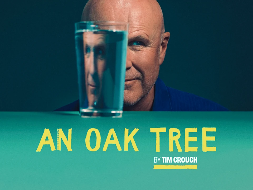 An Oak Tree: What to expect - 1