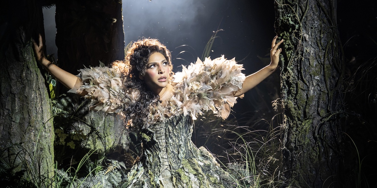 Into The Woods - LT - 1200