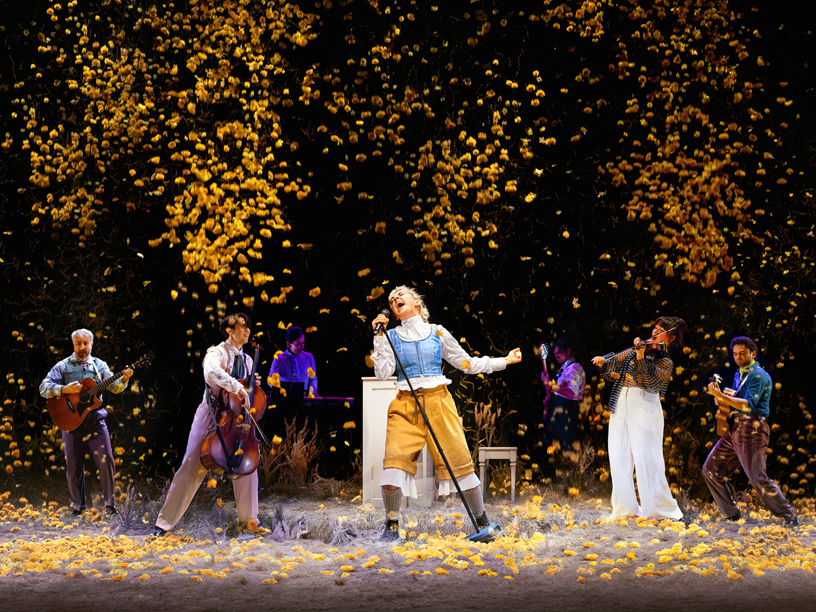 My Brilliant Career : What to expect - 1