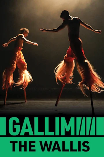 Gallim tickets