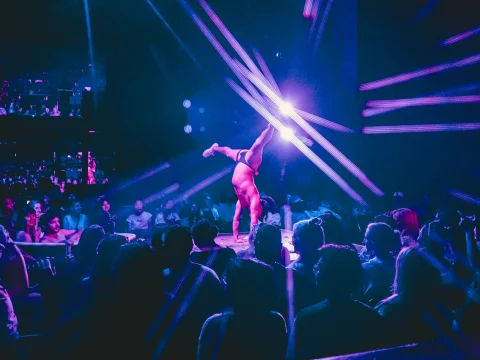 A performer does a handstand on stage under bright, colorful lights in front of a seated audience.