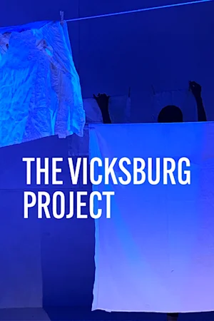 The Vicksburg Project 