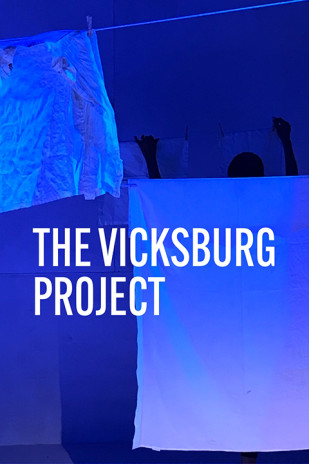 The Vicksburg Project