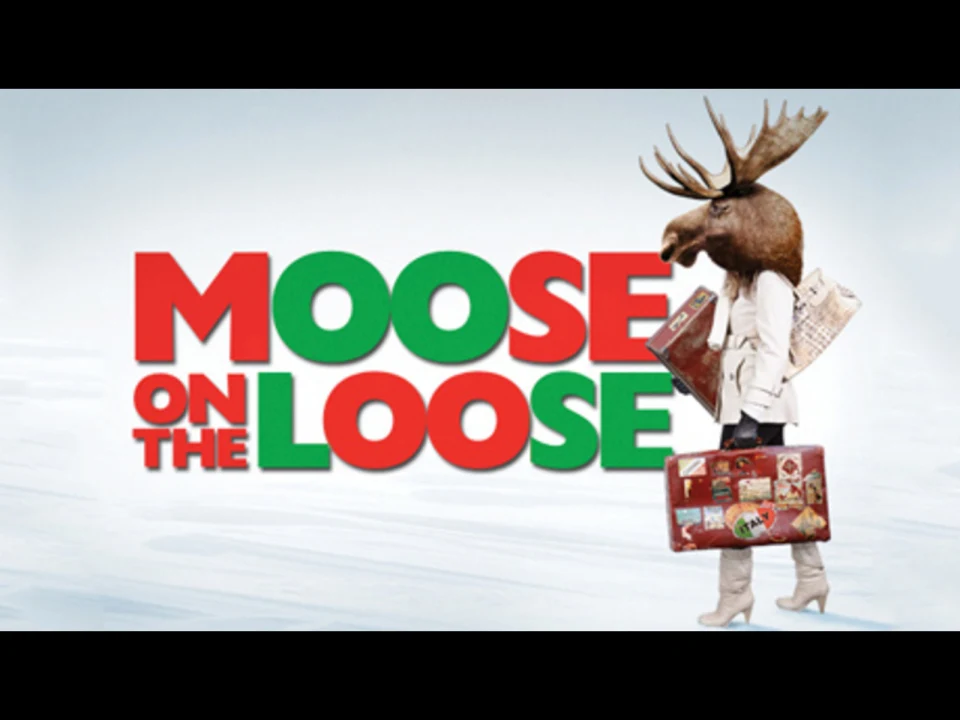 Moose on the Loose: What to expect - 1