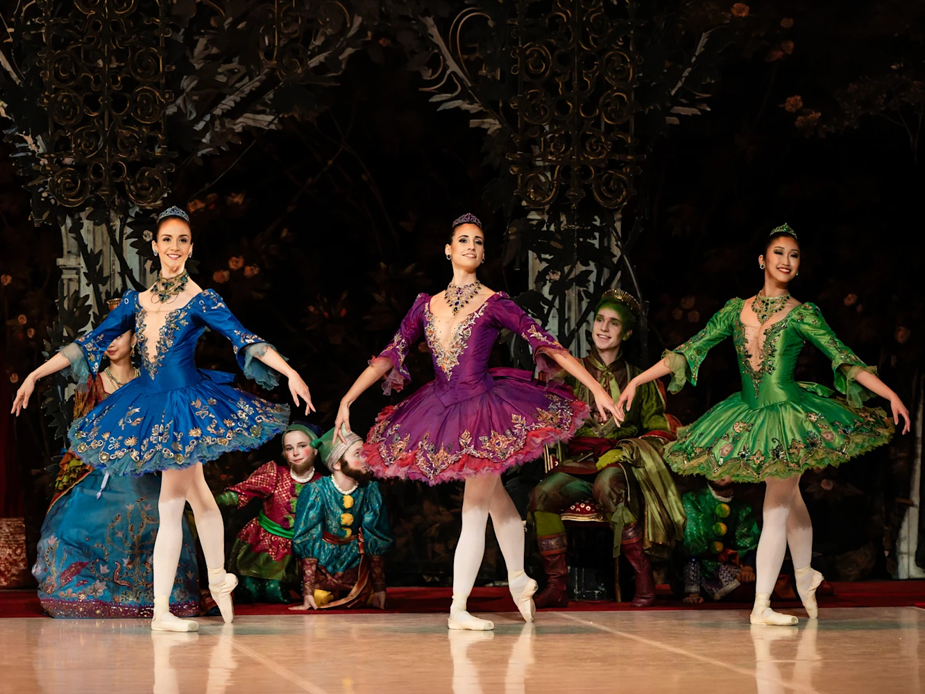 The Sleeping Beauty: What to expect - 6
