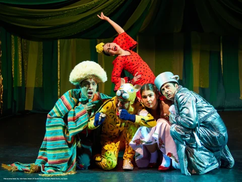 Four performers in colorful costumes, including a striped robe, yellow animal suit, silver outfit, red dress, and floral skirt, pose on stage under green draped fabric. One raises an arm exuberantly.