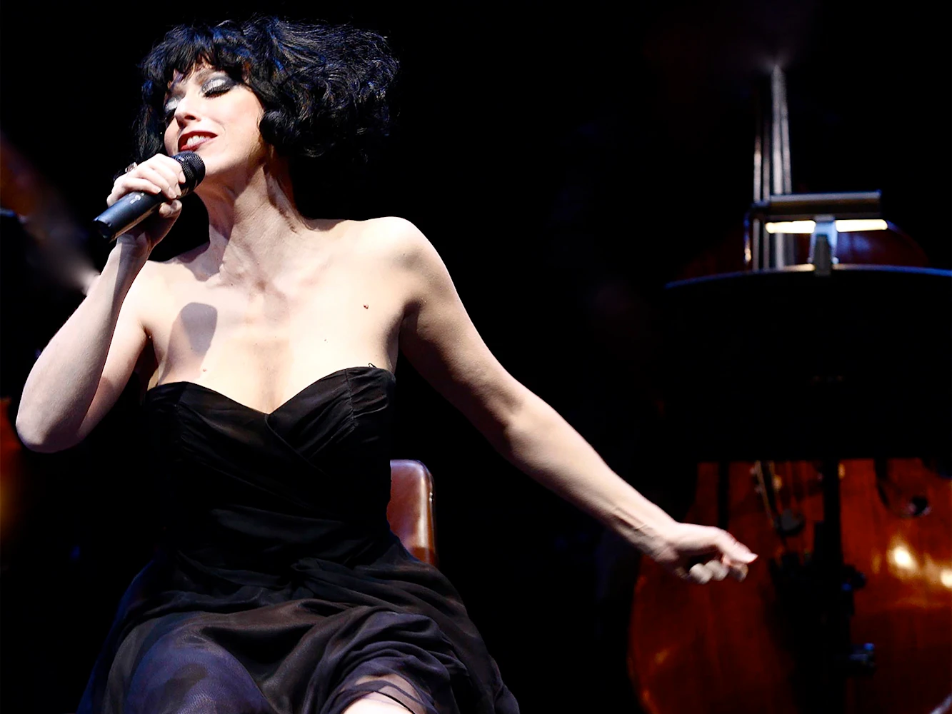 Meow Meow: What to expect - 2