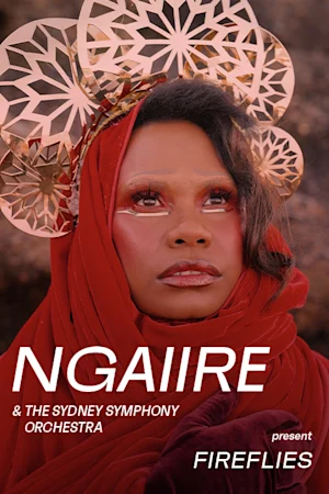 Ngaiire and the SSO Tickets